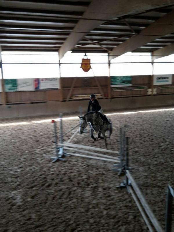 Reitabzeichenlehrgang 2017