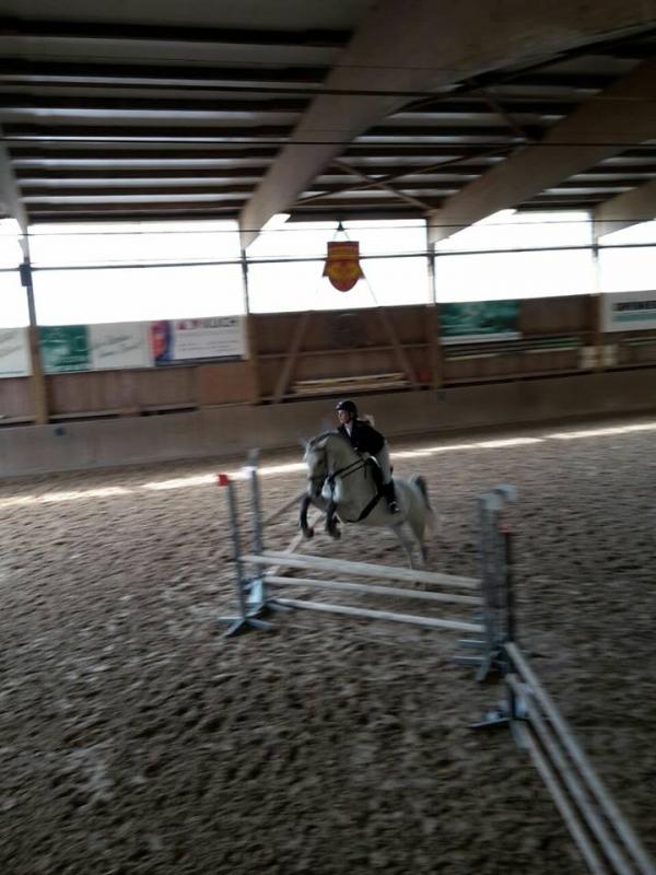 Reitabzeichenlehrgang 2017