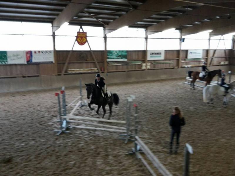 Reitabzeichenlehrgang 2017