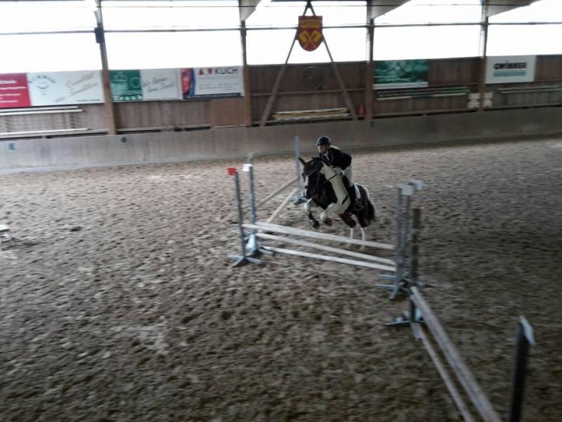 Reitabzeichenlehrgang 2017