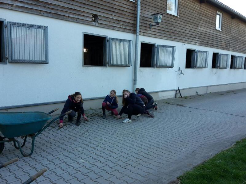 Arbeitseinsatz "Frühlingsfit"