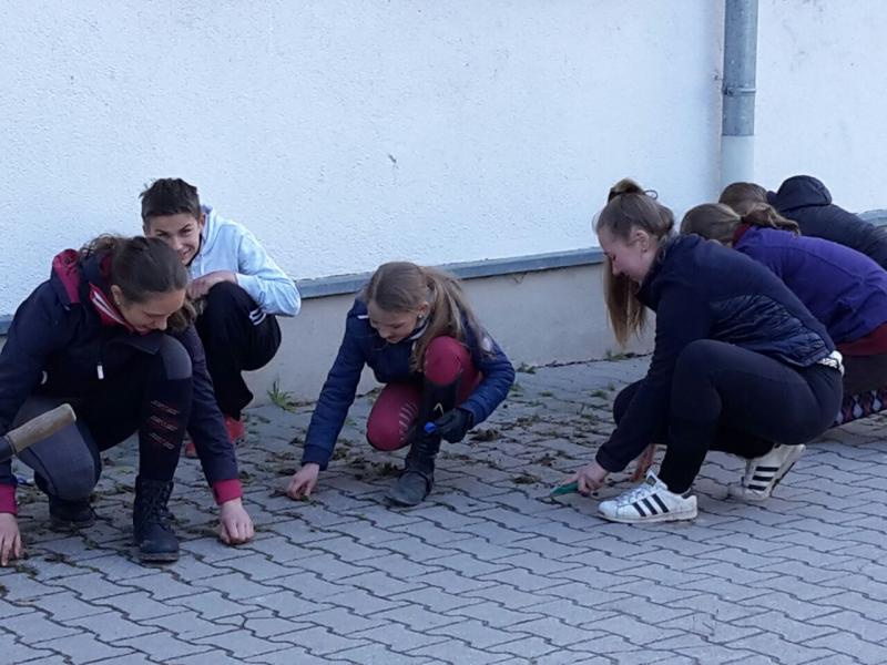 Arbeitseinsatz "Frühlingsfit"