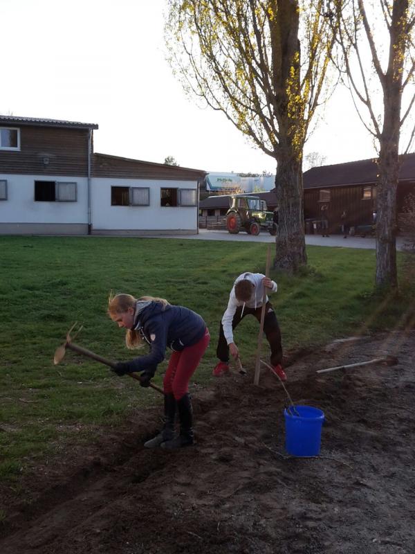 Arbeitseinsatz "Frühlingsfit"