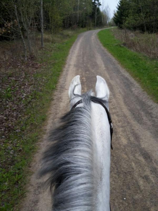 1. Mai Ausritt + Grillen