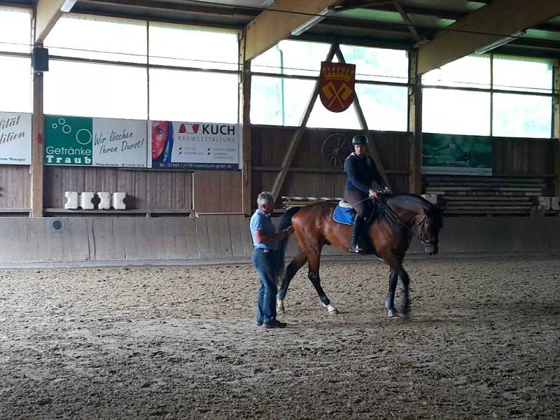 Dressurlehrgang bei Andreas Bräuning