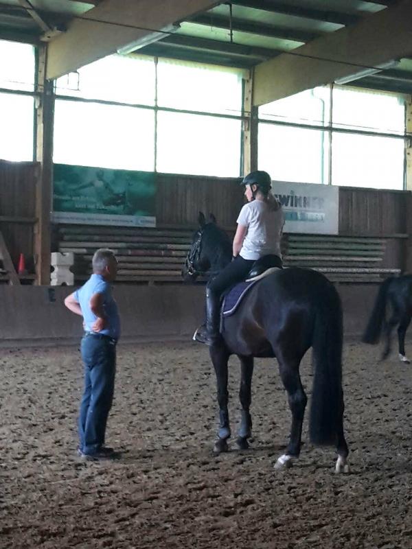 Dressurlehrgang bei Andreas Bräuning