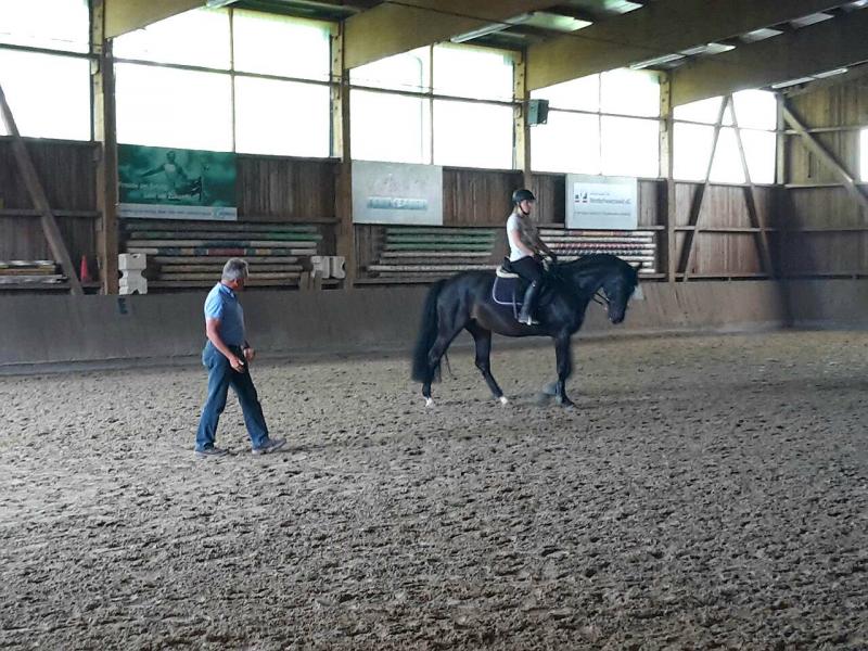 Dressurlehrgang bei Andreas Bräuning