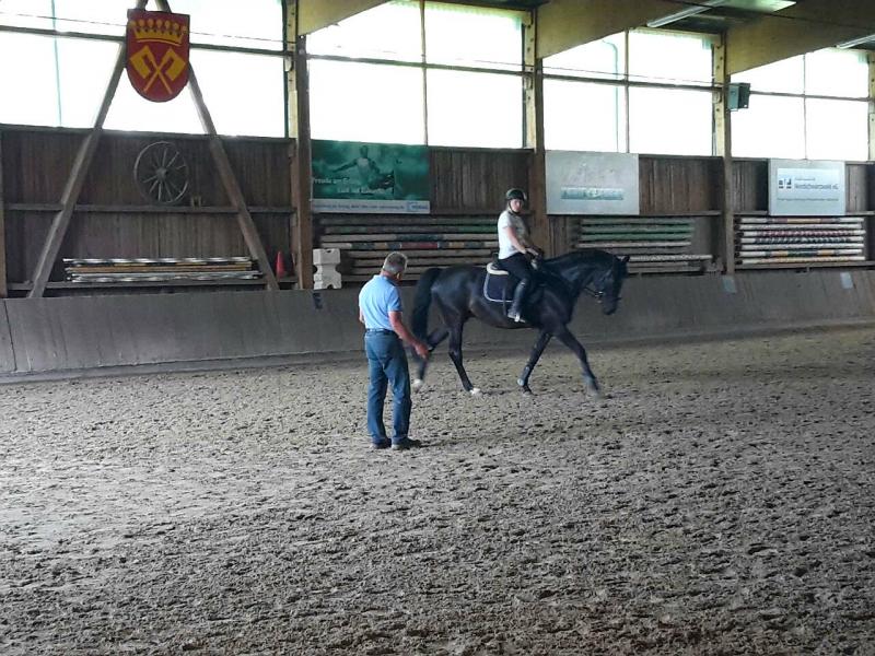 Dressurlehrgang bei Andreas Bräuning