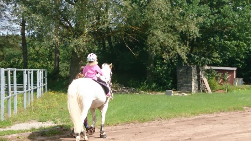 Schnuppertag für Jung und Alt 2017