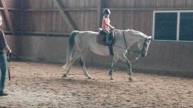 Stallübernachtung Klappe die zweite 2017