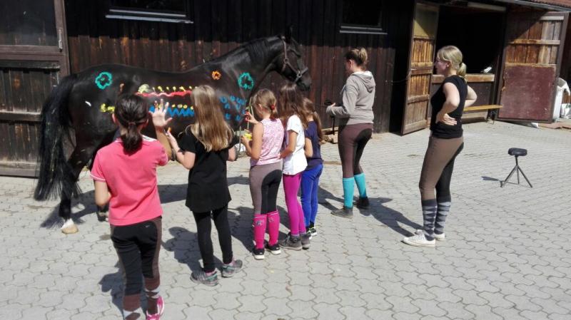 Stallübernachtung Klappe die zweite 2017