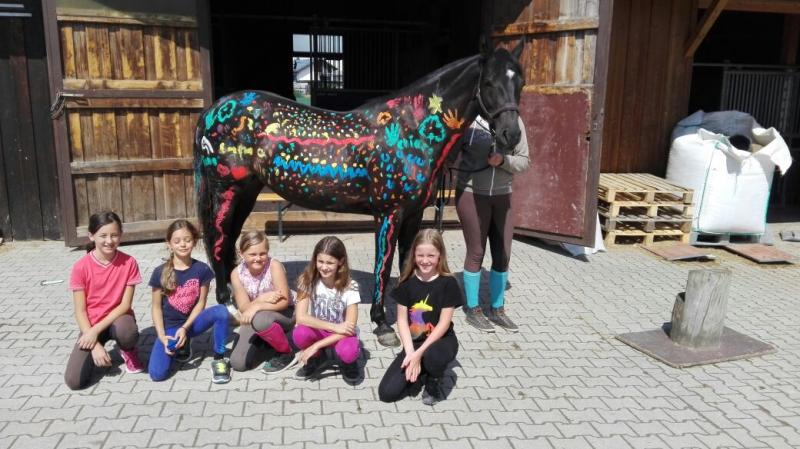 Stallübernachtung Klappe die zweite 2017