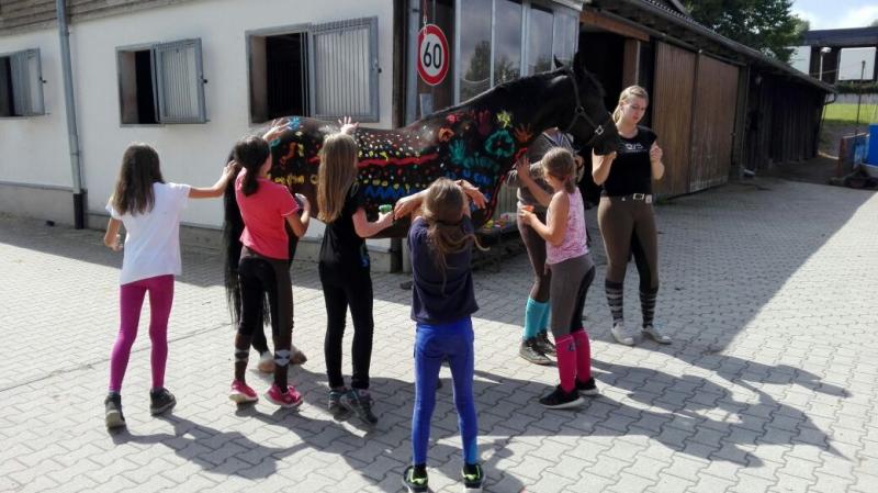 Stallübernachtung Klappe die zweite 2017