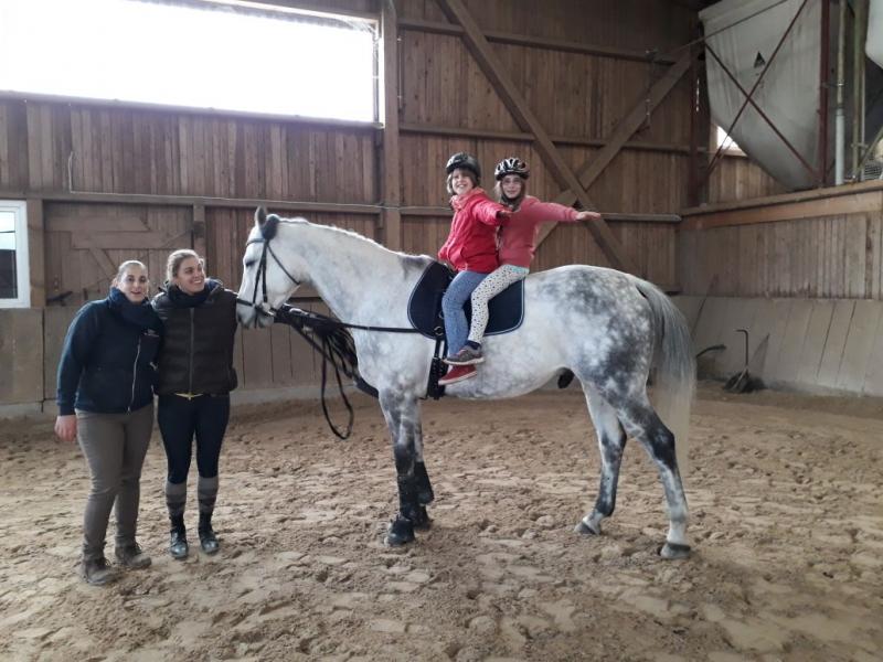 Schnupperkurs beim RFV Pfalzgrafenweiler