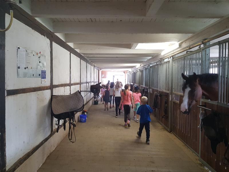 Die Kinder bekamen eine Führung über die Reitanlage