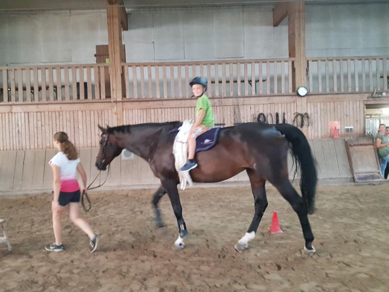 Die Kinder durften reiten