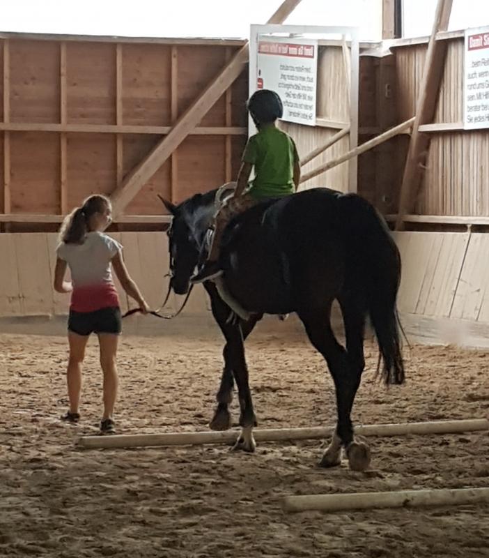 Die Kinder durften reiten