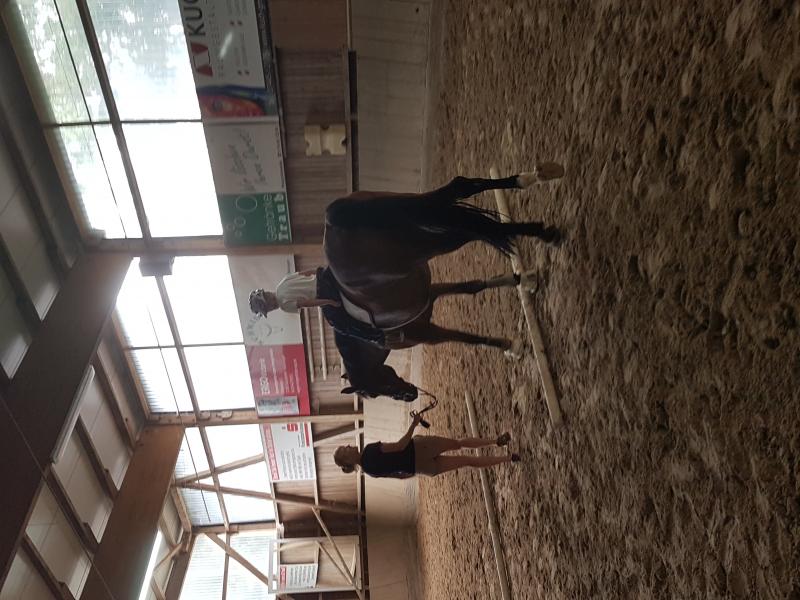 Die Kinder durften reiten