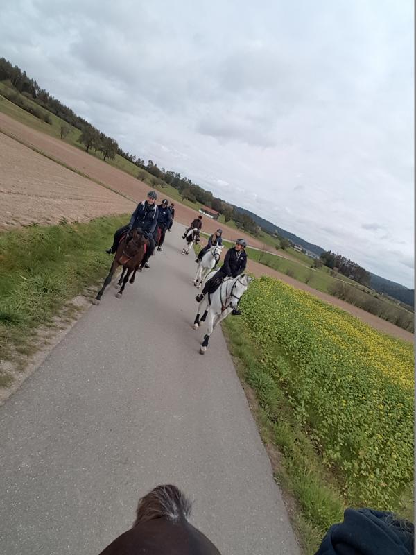 10 Reiter machten sich in diesem Jahr gemeinsam auf den Weg