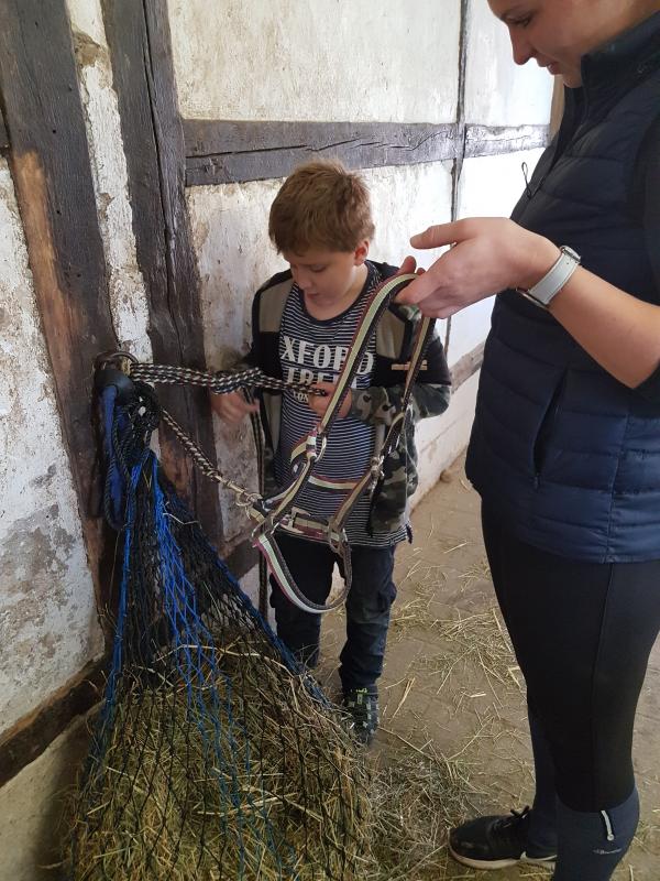 Sielerisch lernen die Kinder den Umgang mit den Pferden